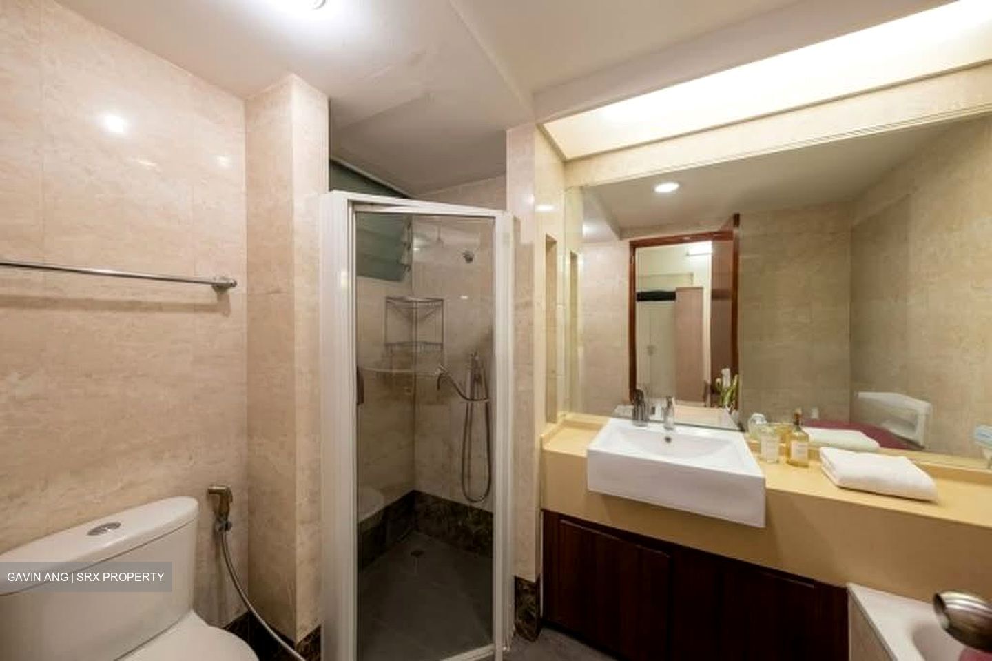 The Clearwater (D16), Condominium #595058081
